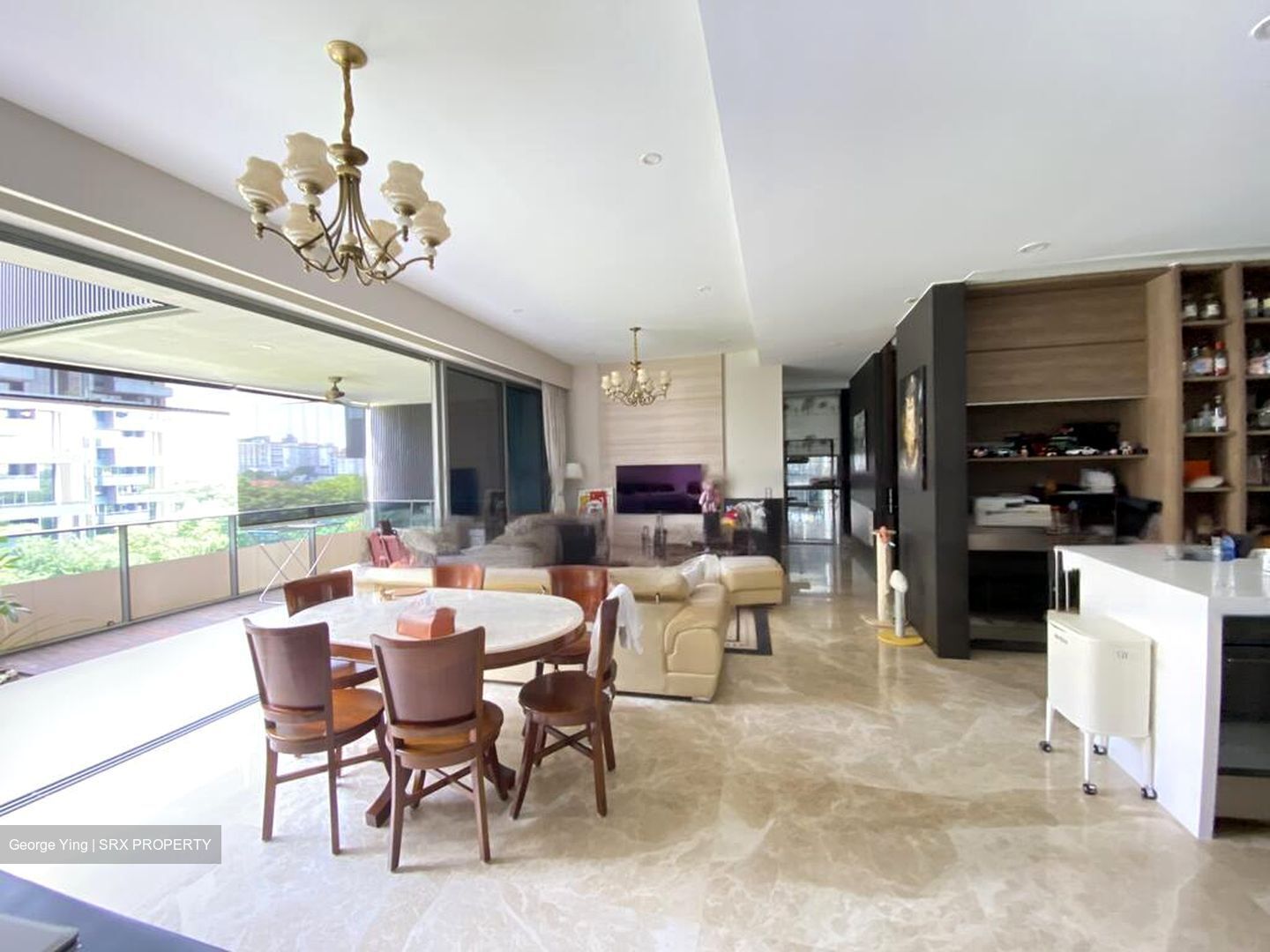 Leedon Residence (D10), Condominium #474653941
